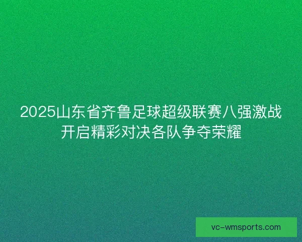 2025山东省齐鲁足球超级联赛八强激战开启精彩对决各队争夺荣耀
